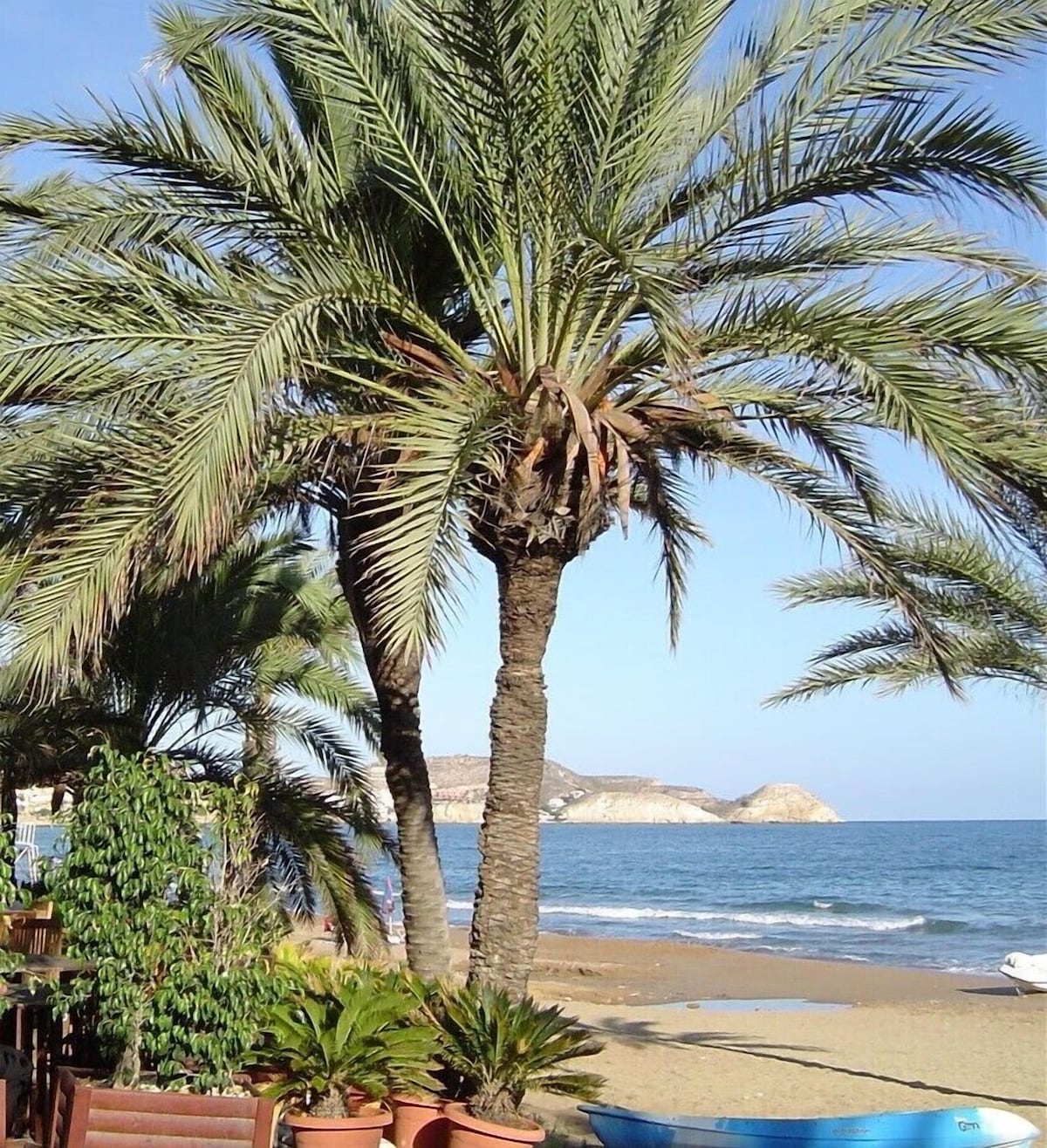 La Diosa Gaia