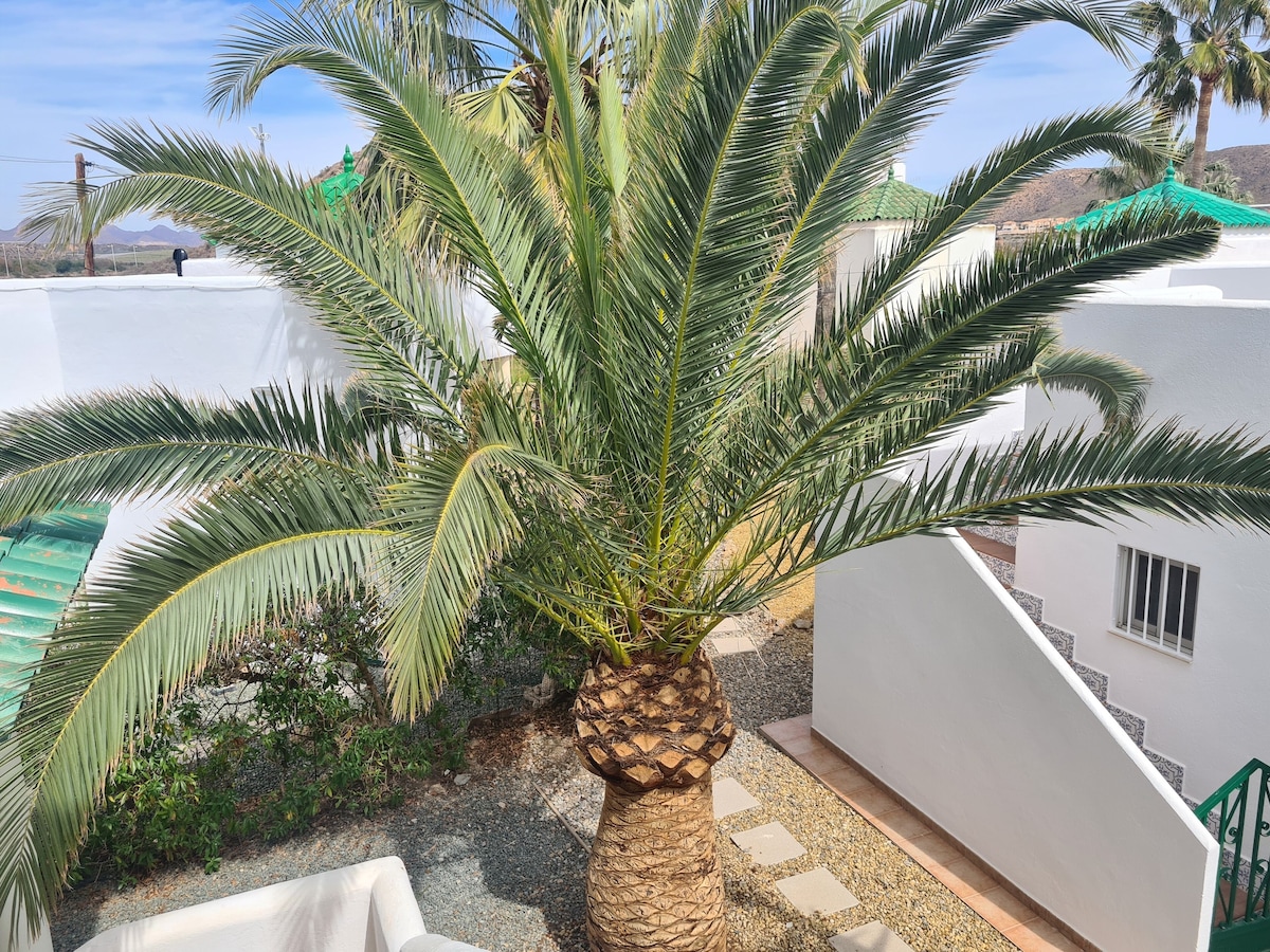 Les Cactus
