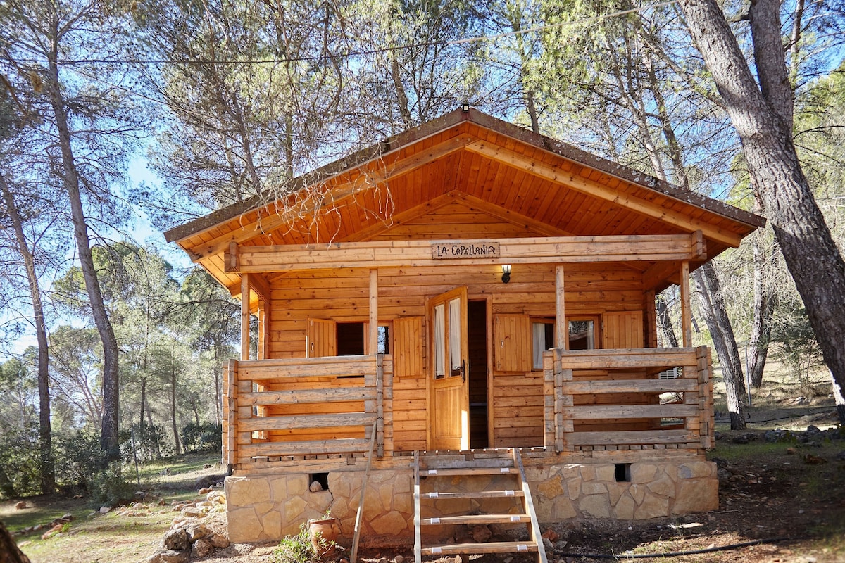 Casa rural 'Cabaña De Madera 5' 4