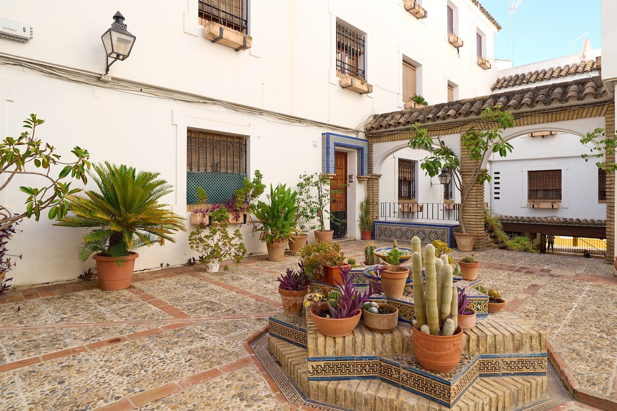 Medina Paradise 5