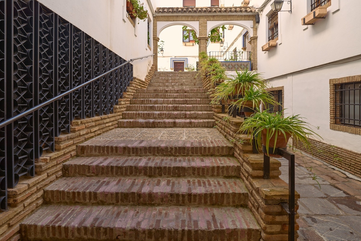 Medina Paradise