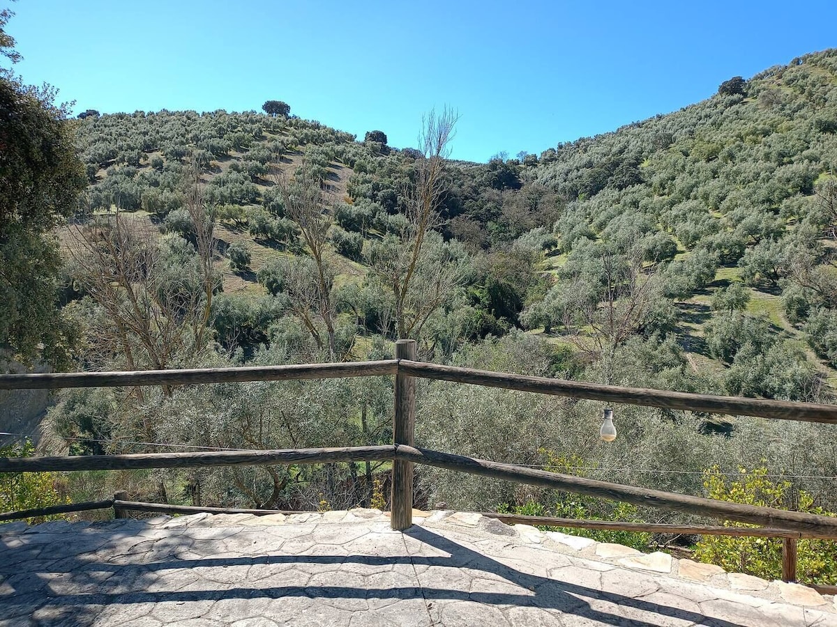 Andalusian Villa 4